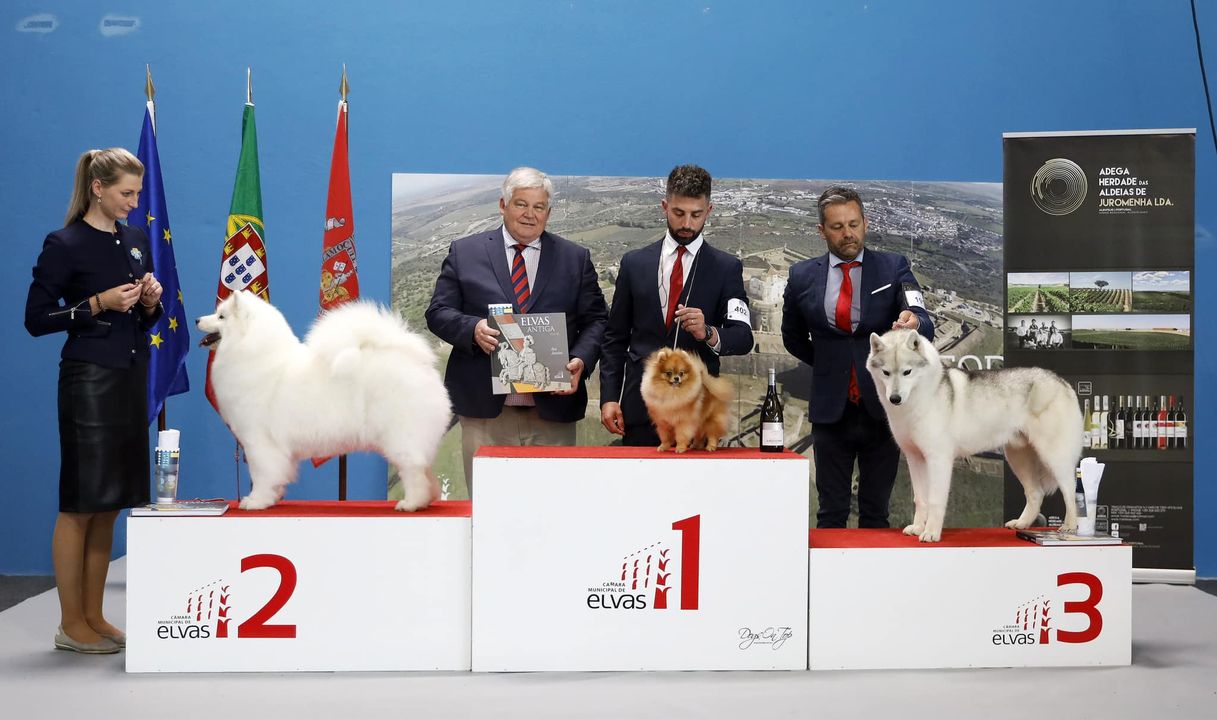 Exposición Internacional de Elvas y Badajoz 2023