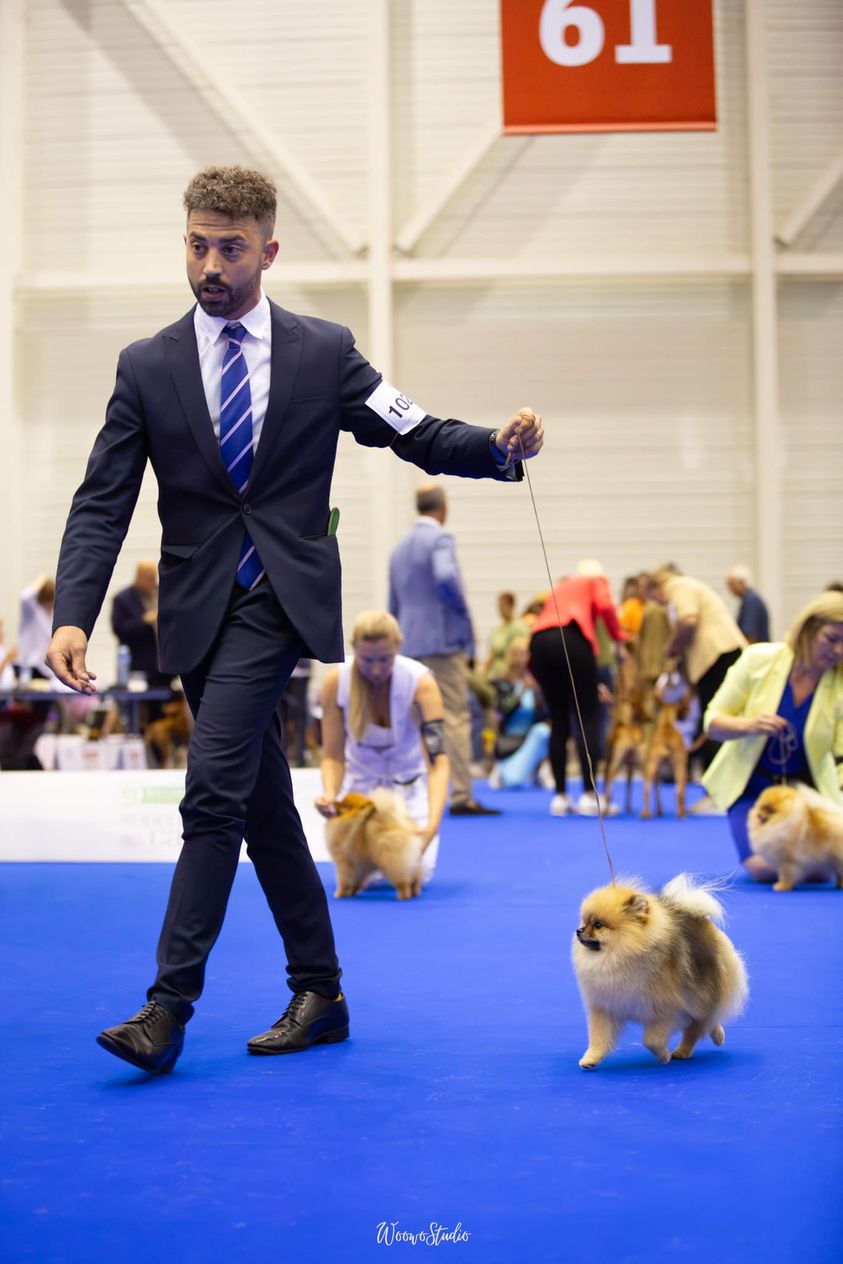 Dog World Show 2023 Gèneve